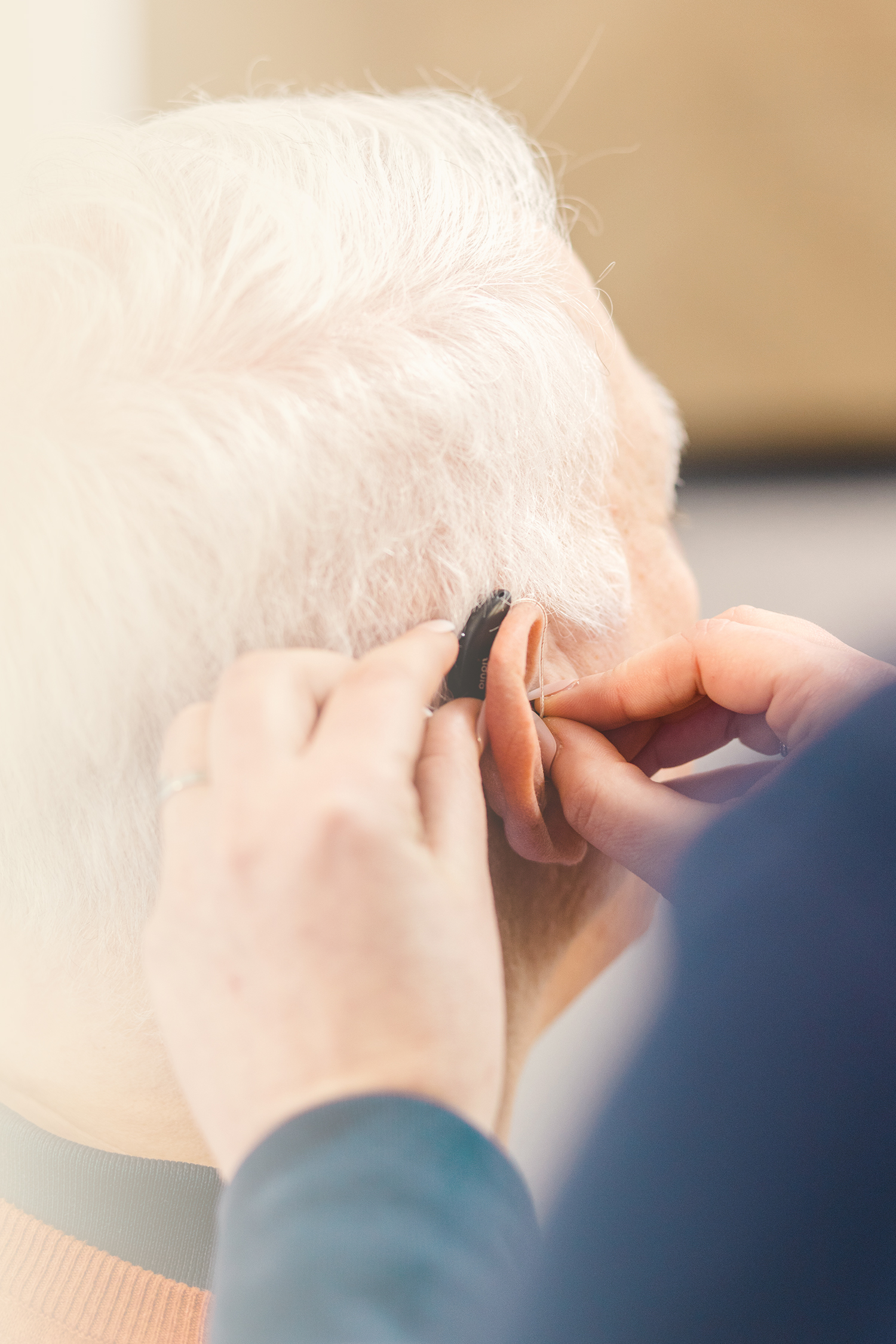 Hörakustik Sommerfeld Header