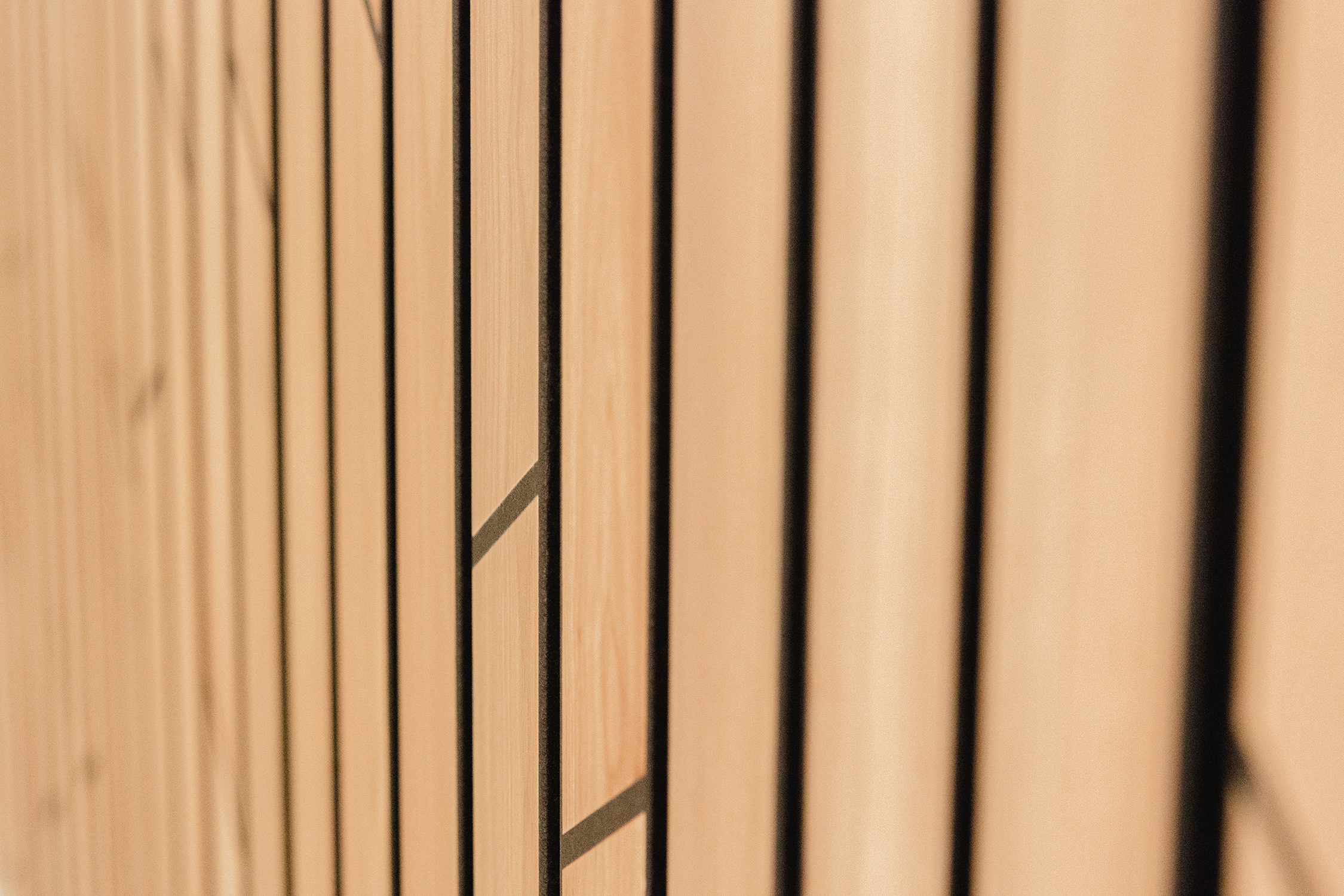 Hörakustik Sommerfeld Hintergrund