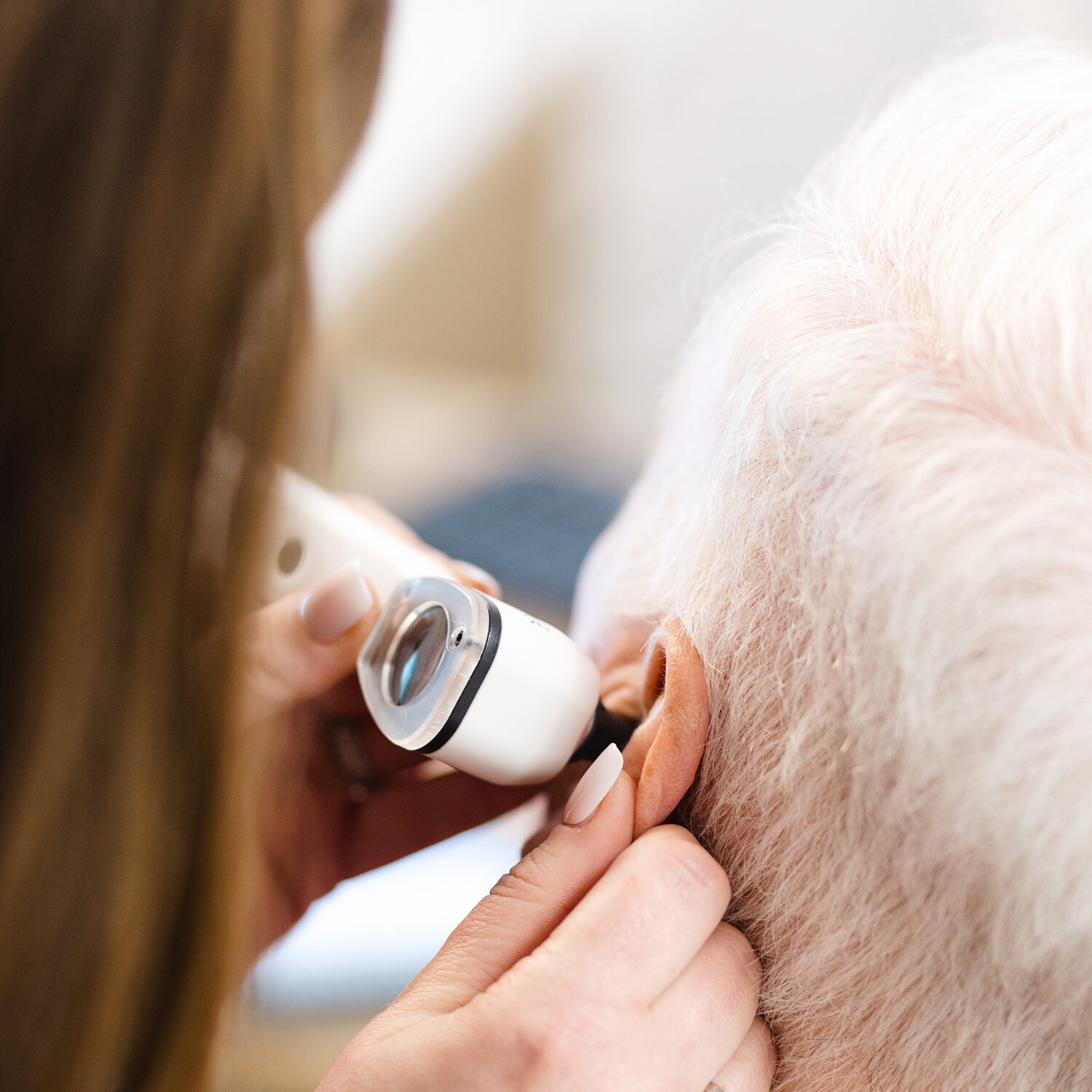 Hörakustik Sommerfeld Ohrenkrankheiten