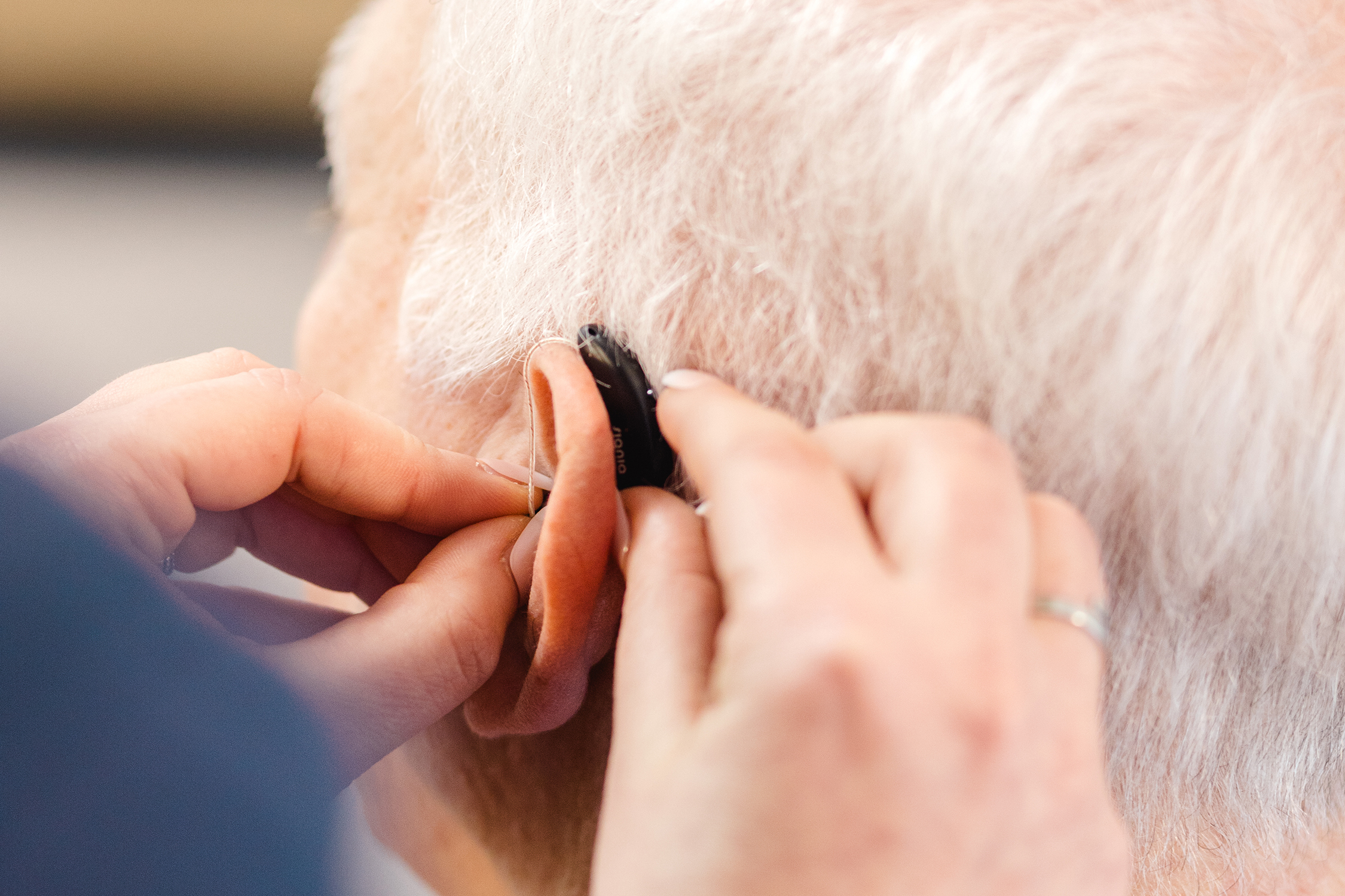 Hörakustik Sommerfeld Probetragen